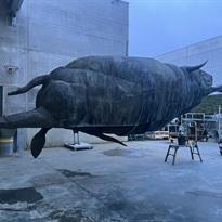 DE ONTVOERING VAN EUROPA - TINEL